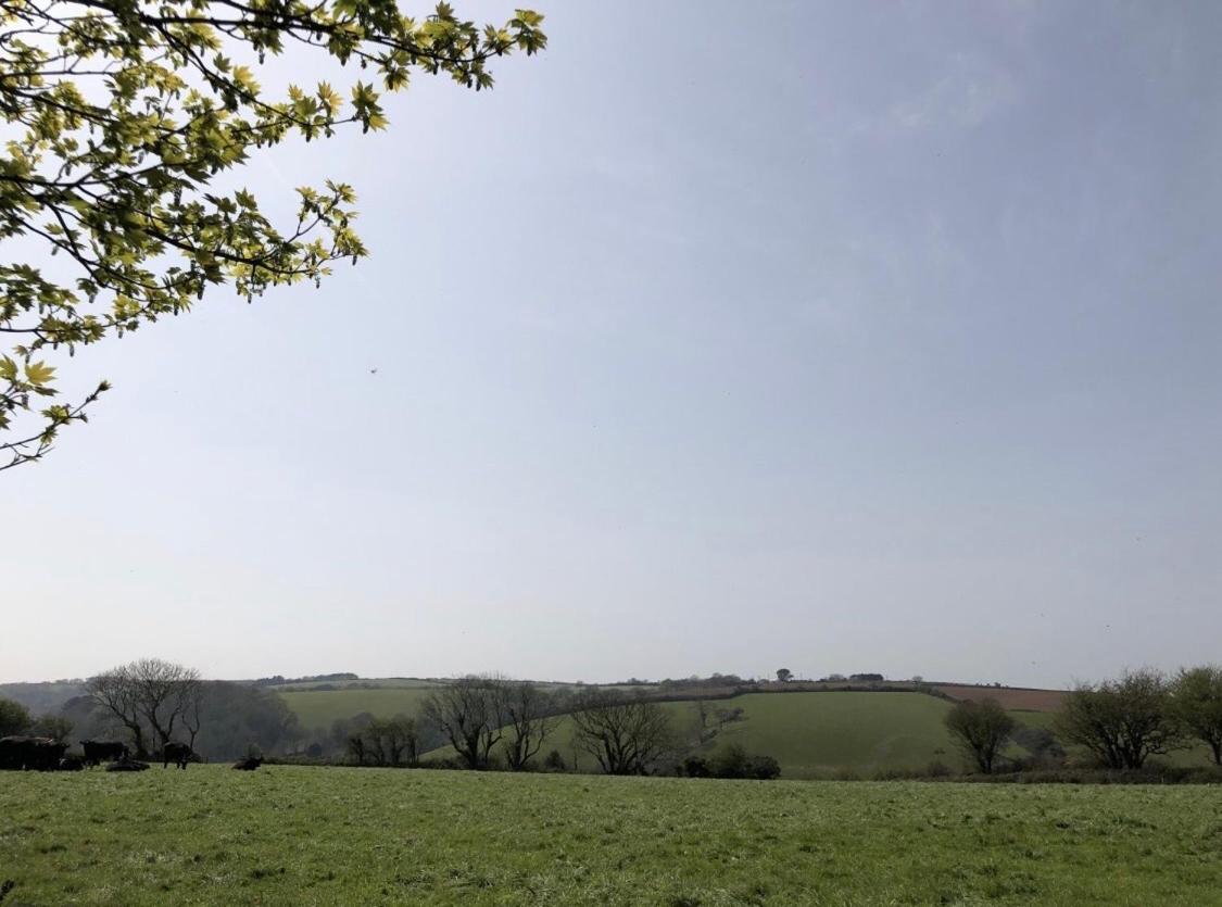 The Old Dairy Retreat Villa St Austell Esterno foto
