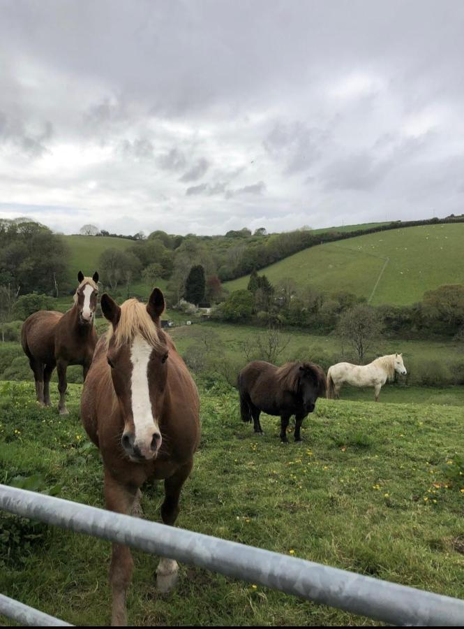 The Old Dairy Retreat Villa St Austell Esterno foto