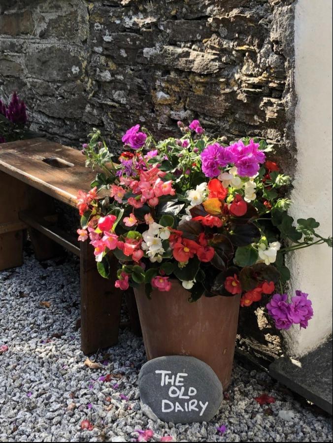 The Old Dairy Retreat Villa St Austell Esterno foto